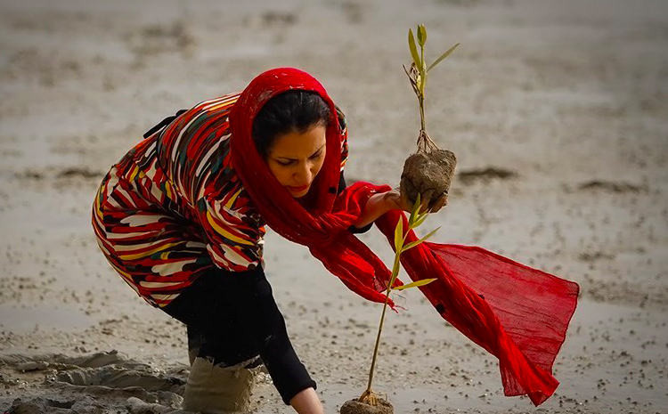 آخرین گلچین تصاویر روز ایران و جهان در سال 92 1