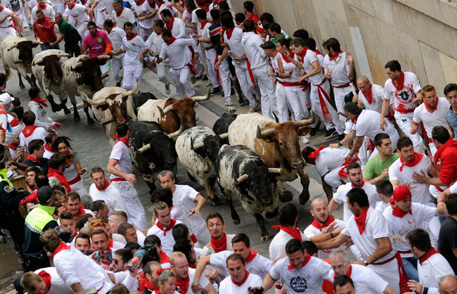138883 871 آغاز بزرگترین جشن گاو بازی در اسپانیا + تصاویر