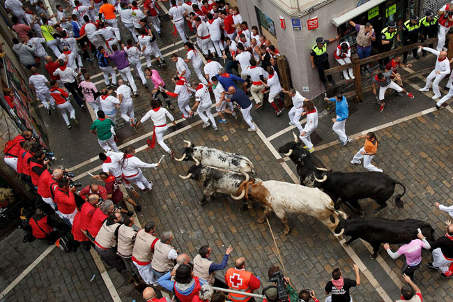 138888 197 آغاز بزرگترین جشن گاو بازی در اسپانیا + تصاویر