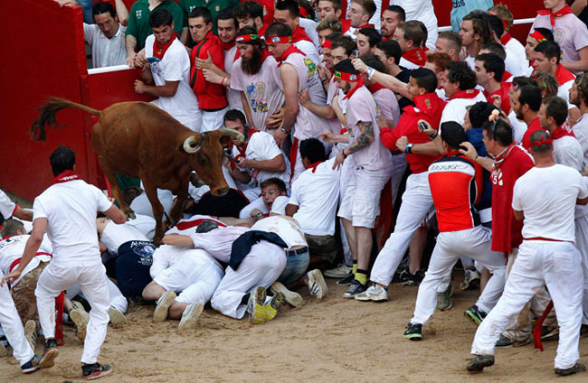 138892 302 آغاز بزرگترین جشن گاو بازی در اسپانیا + تصاویر