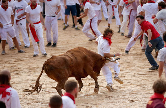 138893 213 آغاز بزرگترین جشن گاو بازی در اسپانیا + تصاویر