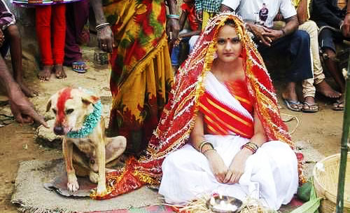 ازدواج دخترجوان با سگ ولگرد ! +تصویر