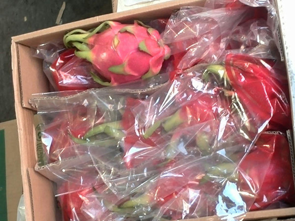 توزیع گسترده و شبانه میوه‌های خارجی در تهران/ مسئولان متعجب شدند