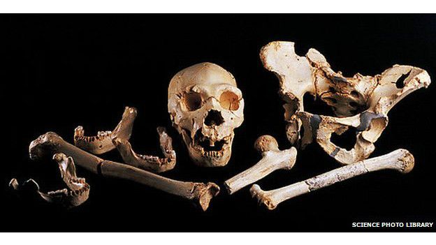 شواهد ۴۳۰ هزار ساله از خشونت توسط انسان