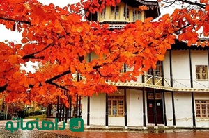 راهنمای خرید زودپز برای آشپزخانه مدرن