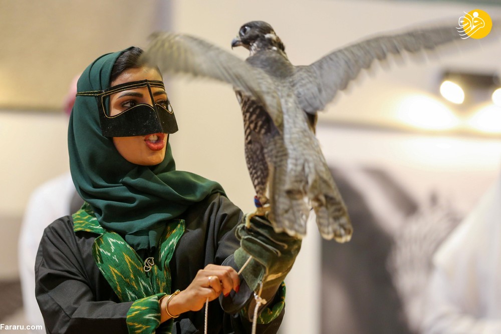 (تصاویر) علاقه زنان عربستانی به شاهین شکاری