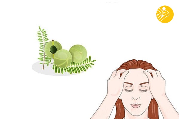۱۰ گیاهی که به درمان ریزش مو کمک می‌کنند