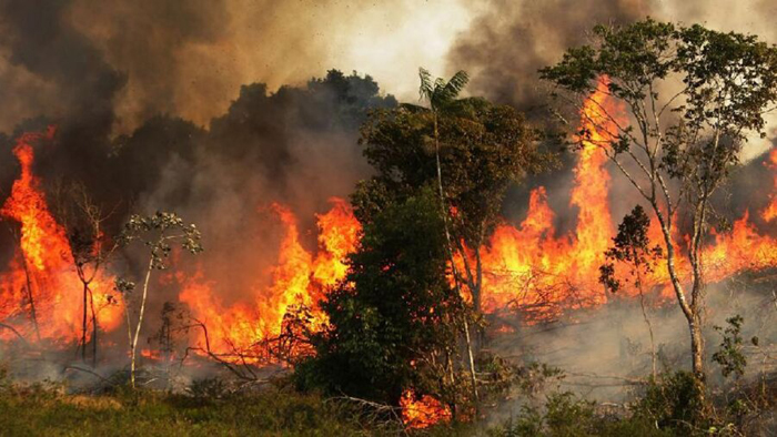 هفته هولناک برای محیط زیست؛ آتش در هفت استان کشور