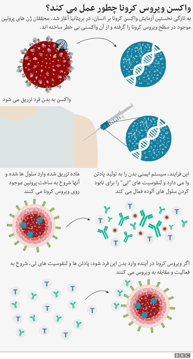 واکسن کرونا؛ از سیر تا پیاز