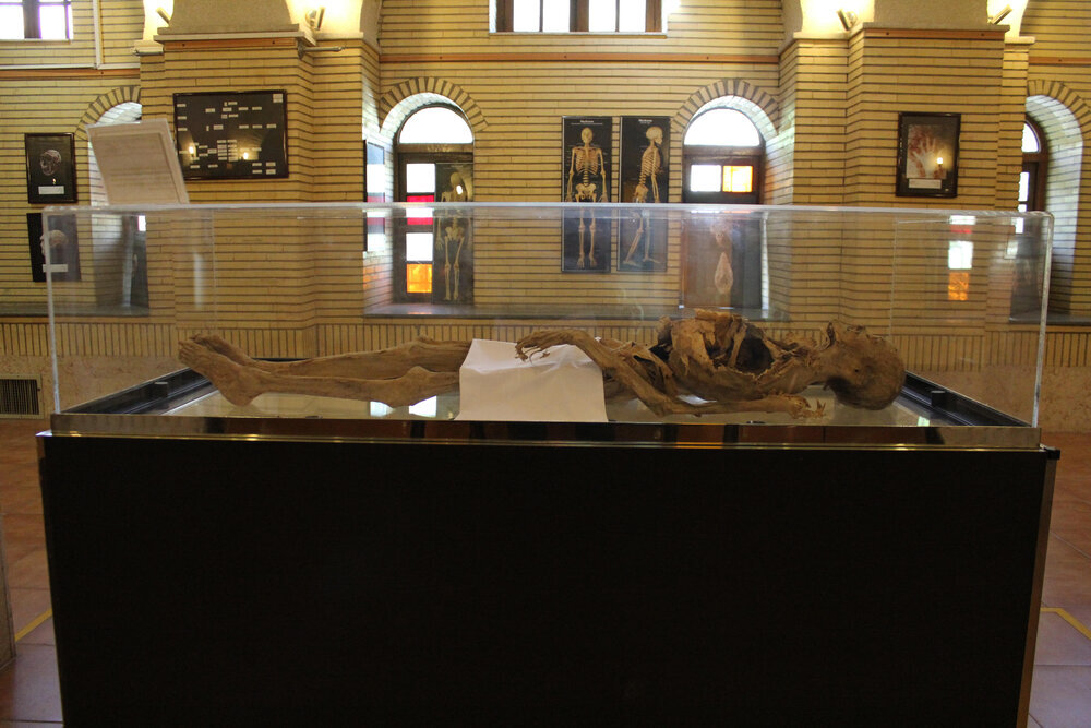 ماجرای عجیب مومیایی زن یزدی؛ جسد خوابیده در موزه کیست؟