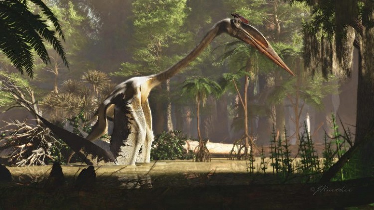 (تصویر) بزرگترین جانور پرنده تاریخ با ۱۲ متر طول بال