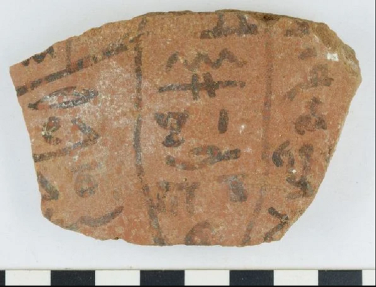 (تصاویر) کشف بزرگترین مجموعه «دفترهای یادداشت» مصر باستان!