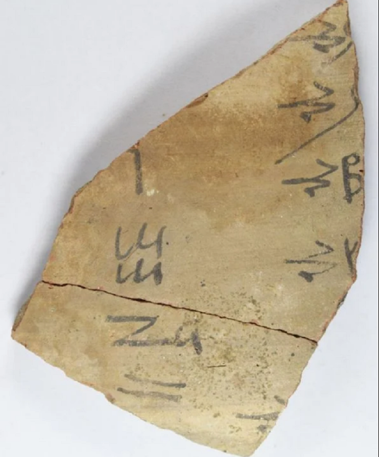 (تصاویر) بزرگترین مجموعه «دفترهای یادداشت» مصر باستان!
