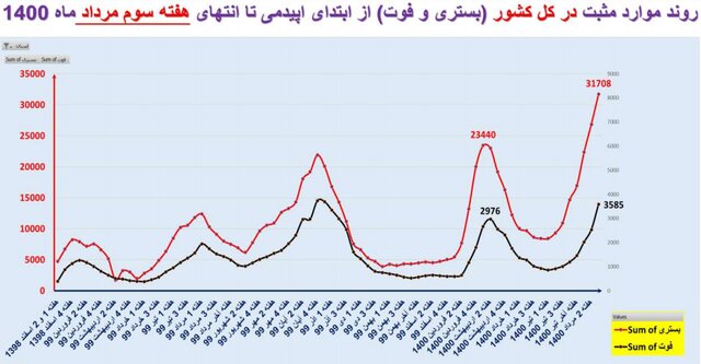 افزایش 41 درصدی مرگ‌های کرونایی 4