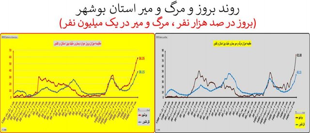 افزایش 41 درصدی مرگ‌های کرونایی 20