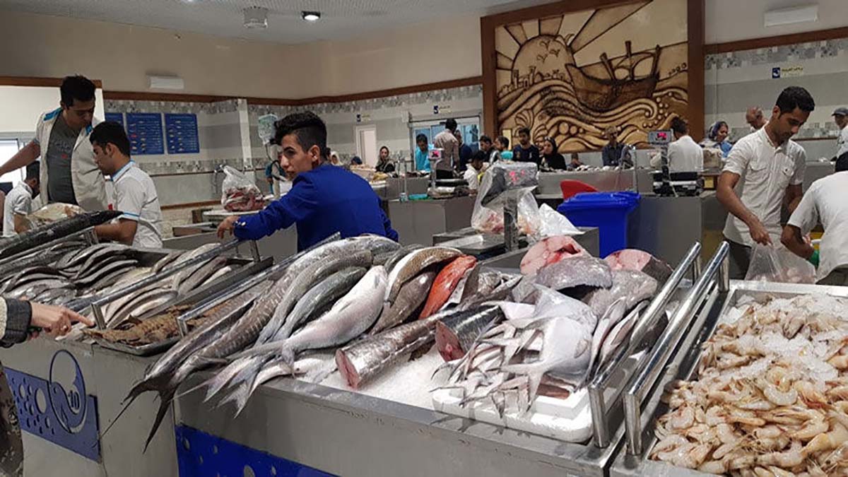 رشد ۳۵درصدی قیمت انواع ماهی در بازه زمانی یک ساله