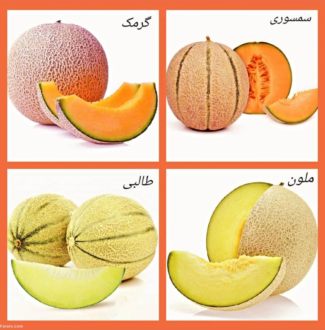 طالبی و سمسوری