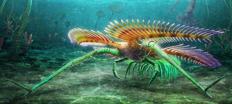 (تصاویر) کشف یک جانور دریایی عجیب ۴۵۰ میلیون ساله!