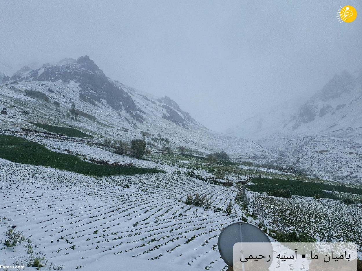 (عکس) بارش برف سنگین در بامیان افغانستان!
