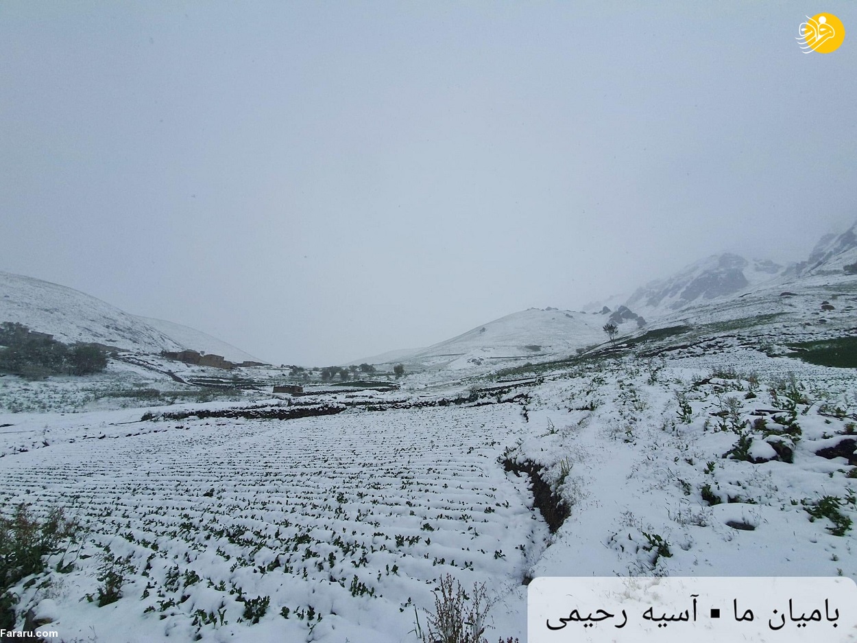(عکس) بارش برف سنگین در بامیان افغانستان!