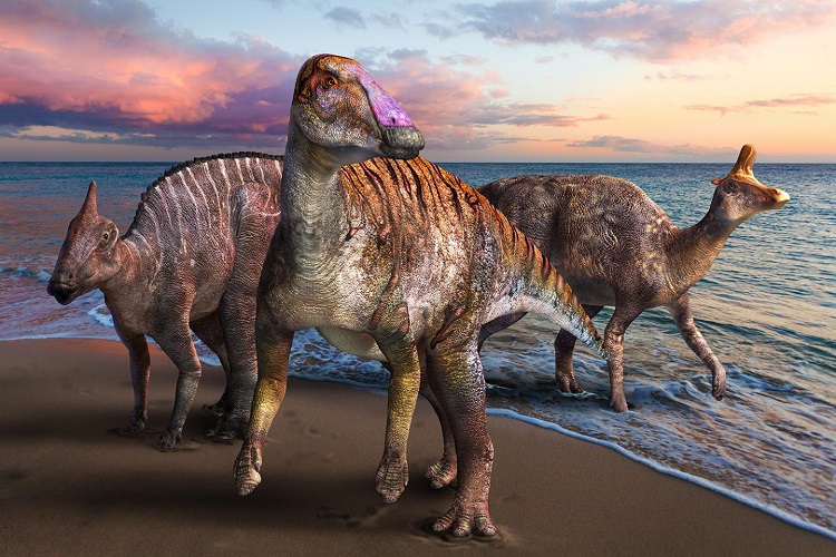 کشف یک دایناسور جدید در ژاپن