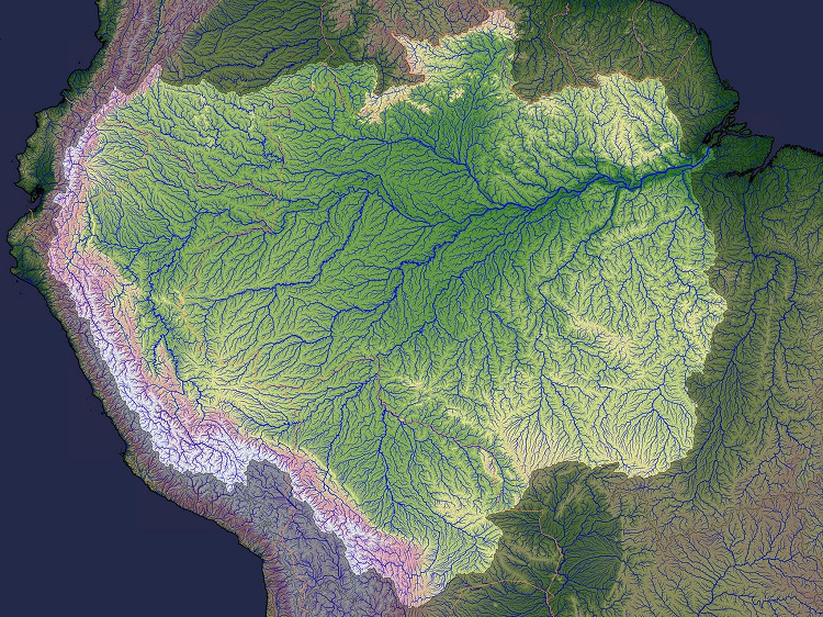 چرا هیچ پلی بر روی رود آمازون نیست؟