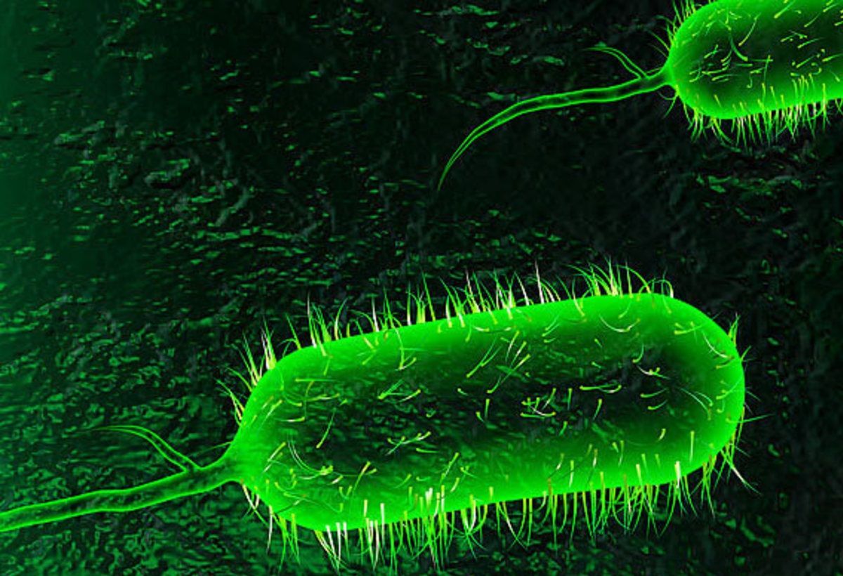 شناسایی 2 بیمار مبتلا به وبا در جیرفت