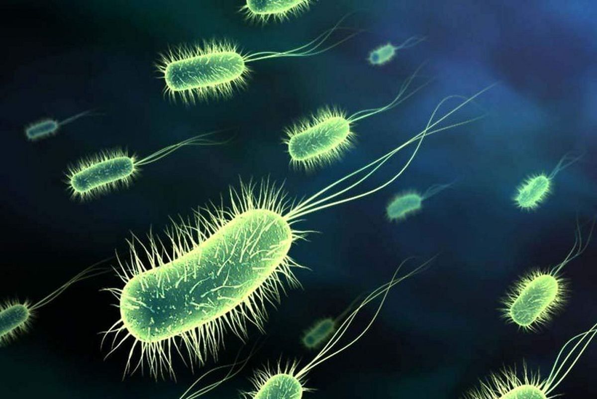 ابتلای قطعی 62 نفر به بیماری وبا در کشور