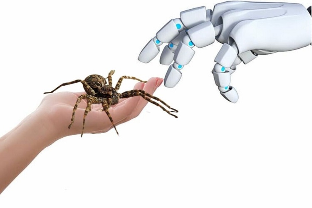 Инженеры превращают пауков в роботов