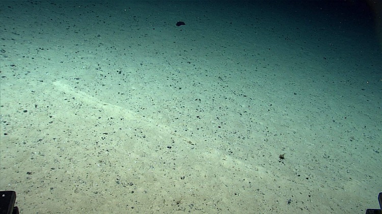 (تصاویر) کشف حفره‌های مرموز و عجیب در کف اقیانوس اطلس!