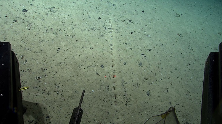 (تصاویر) کشف حفره‌های مرموز و عجیب در کف اقیانوس اطلس!