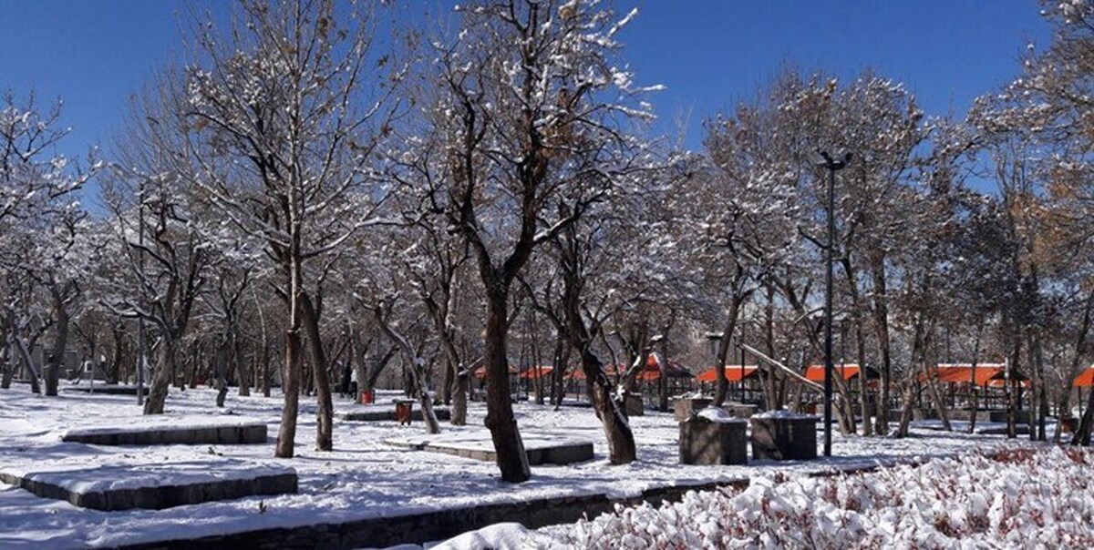 سرما و باران در نیمه شمالی کشور