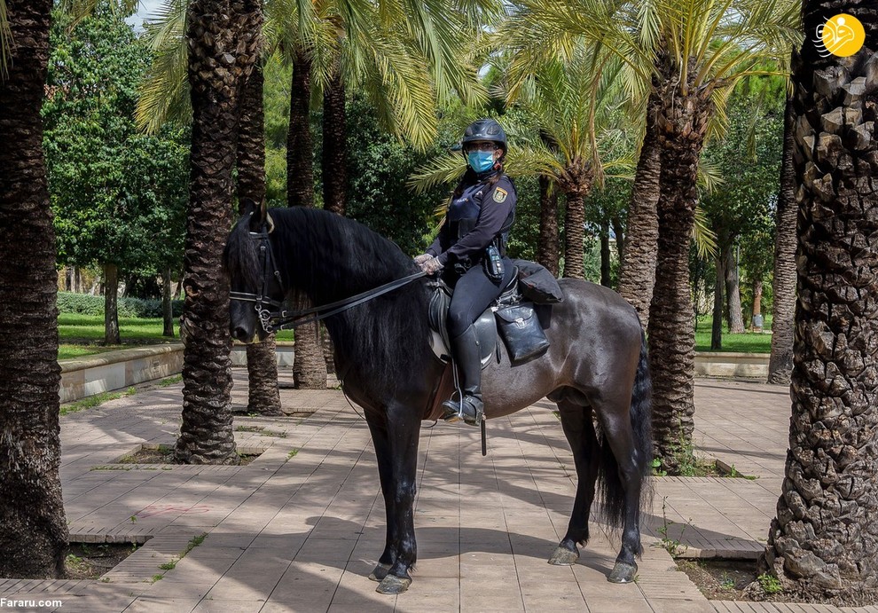 هلنا گونزالو سانچز یک مأمور پلیس اسب سوار در والنسیای اسپانیاست. او معتقد است که کارش وظیفه است و به آن افتخار می کند. 