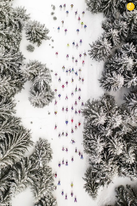  یک رویداد سالانه اسکی در لهستان/ دانیل کوزلا
