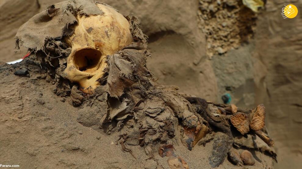 کشف اتفاقی یک گورستان ۸۰۰ساله